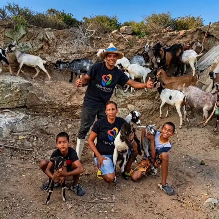 Comunidad rural con niños y animales de granja